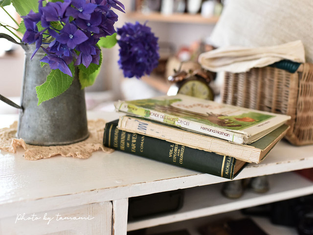 古い味わいが素敵でイラストがかわいい文法本 フランスアンティーク Apres Demain Brocante