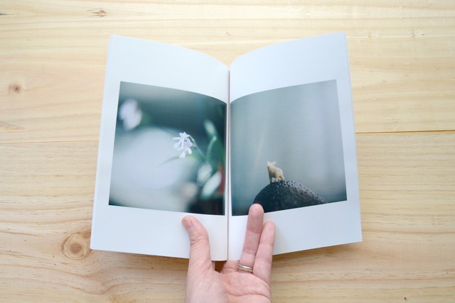 今日の十二枚 No 3 八木 香保里 ホトリの本場