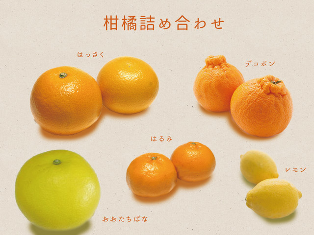 柑橘 はるみ
