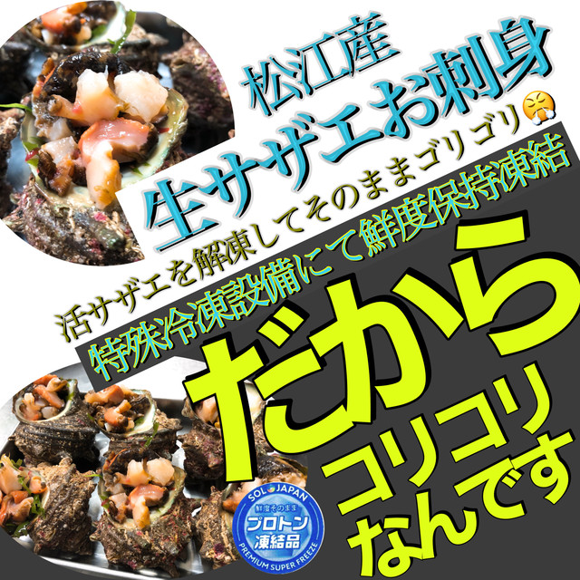 衝撃の触感 生サザエスライス済み刺身 原体100 1ℊサイズ12個パック プロトン冷凍により生食感が完全再生 出雲乃國 神鮮魚 島根fラボ Produced By Sol Japan