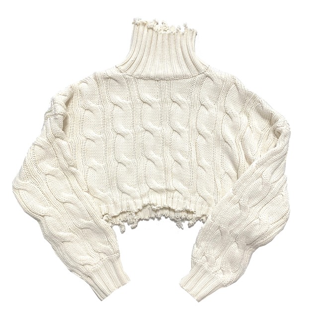 Ripped Cropped Turtle Knit