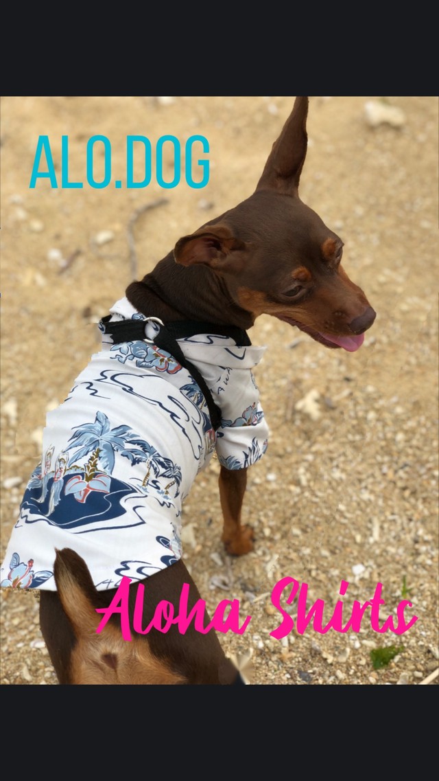 犬服 アロハシャツ Aloha Shirts 小型犬用 Alo Dog