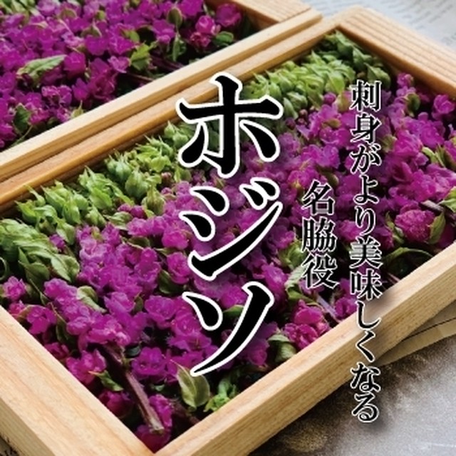 花穂紫蘇 ハナホジソ 1枚 約本 新鮮野菜とフルーツのお店 旬屋