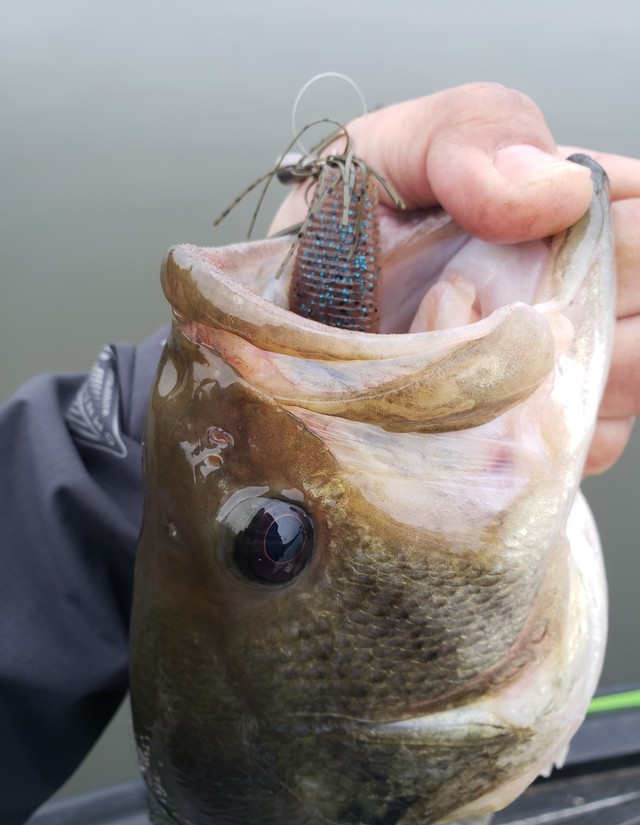 ゲーリーヤマモト ハートテール3 5インチ Goober