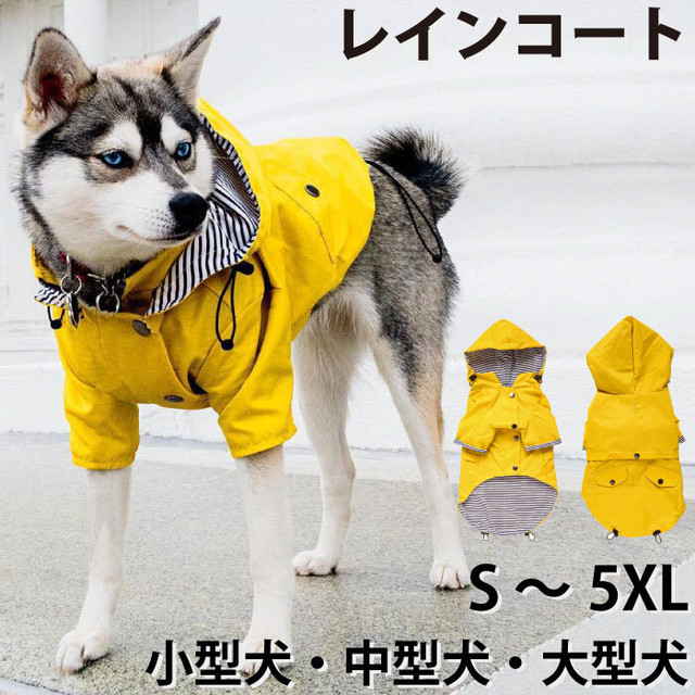 レインコート Dearkm フレンチブルドック孔明