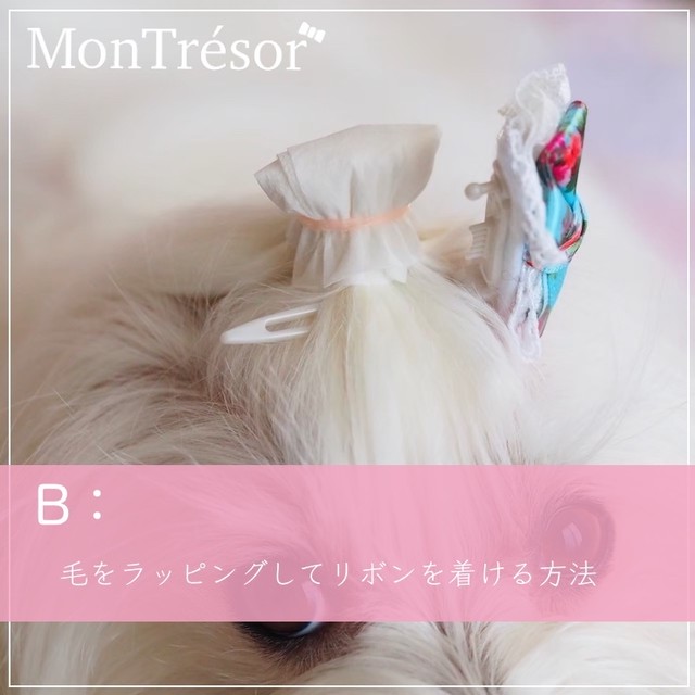 リボンの付け方講座 Montresor