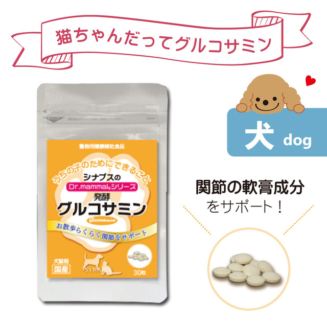 グルコサミン 骨 関節サポート ペットサプリメントのお店 Intiniccot いんてぃにこっと