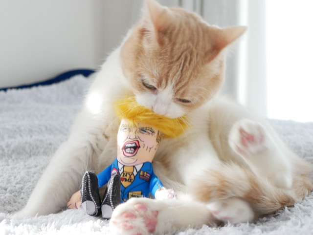ネコちゃん用 トランプさん キャットトイ けりぐるみ いぬねこぐろっさりー