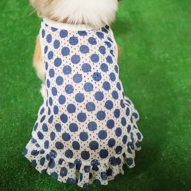 Sale cool水玉ワンピース Blue Bell ブルーベル Dogprime ドッグプライム 春夏物犬服 ドッグウェア ペット用品 可愛いペット洋服 犬おしゃれ服 フルーツ柄犬服 Cool犬服 涼しい犬服 クール犬服 犬用品 ペット用品 Tuktuk 犬服ドッグウェア キャリー Sale cool水玉ワンピース Blue Bell ブルーベル Dogprime ドッグプライム 春夏物犬服 ドッグウェア ペット用品 可愛いペット洋服 犬おしゃれ服 フルーツ柄犬服 Cool犬服 涼しい犬服 クール犬服 犬用品 ペット用品 Tuktuk 犬服ドッグウェア キャリー