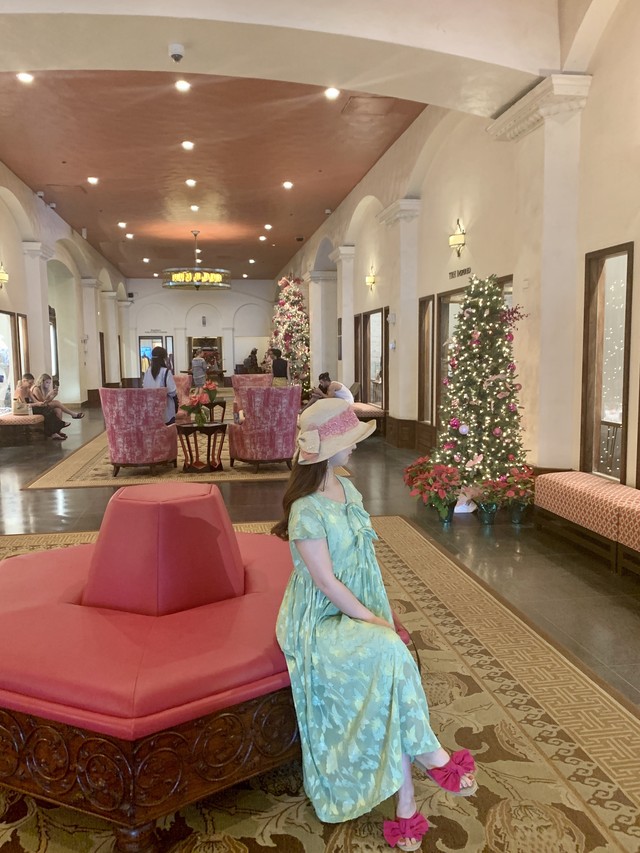 妖精ワンピース ３種のシフォンジャガード Precious R