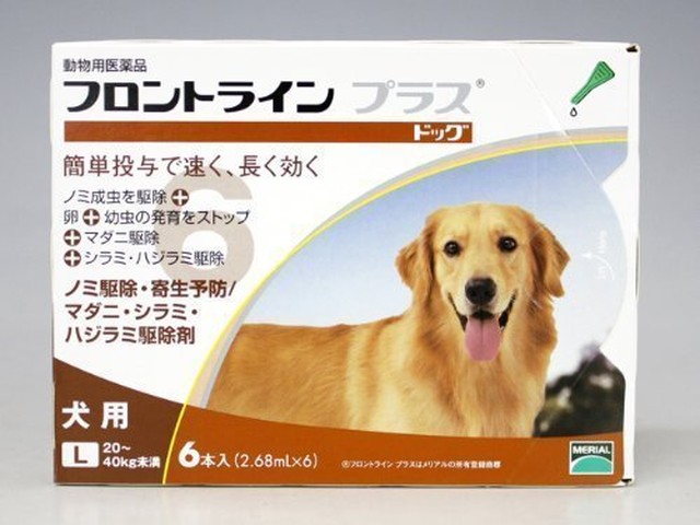 犬用 フロントラインプラス ドッグ L kg 40kg 6ピペット 動物用医薬品 アニマル ライフ サポーター