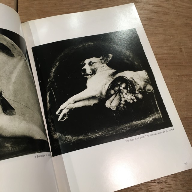 Photovision Joel Peter Witkin ジョエル ピーター ウィトキン 百年