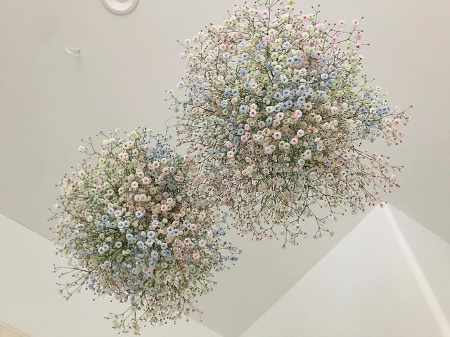 Flower Cloud Sunrise かすみ草 フレッシュ ドライフラワー リース ブーケ スワッグ Fee De Fleurage Flower Cloud Sunrise かすみ草 フレッシュ ドライフラワー リース ブーケ スワッグ Fee De Fleurage