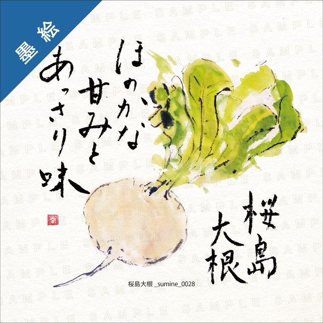 桜島大根 Mdlストア