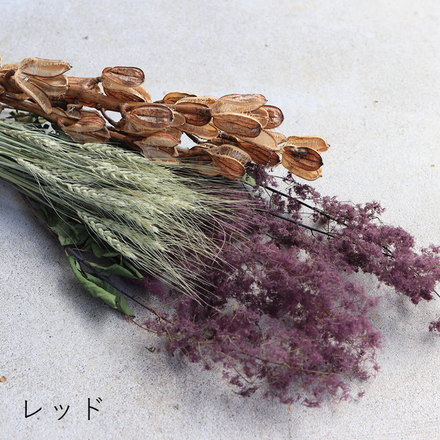 ドライフラワー ウバユリ 姥百合 北海道産 ボタニカル 富良野 花七曜 ドライフラワーショップ