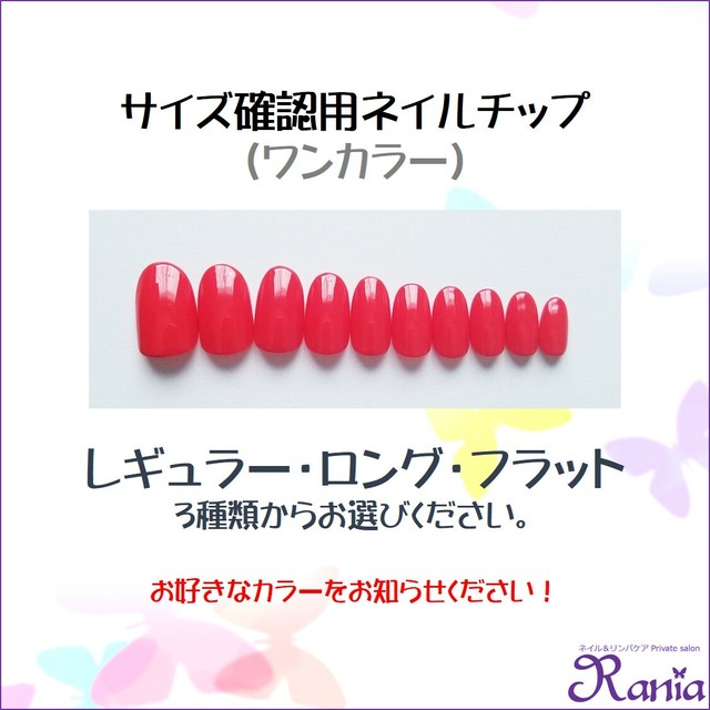 サイズ確認用ネイルチップ ワンカラー Rania ﾗﾆｱ