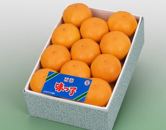 長崎県産 味っ子みかん 化粧箱〔送料無料 詰め合わせ みかん 贈答用〕
