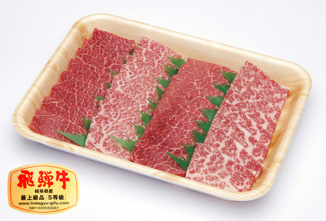 8.飛騨牛焼き肉用(赤身焼肉・霜降り焼肉) 500g