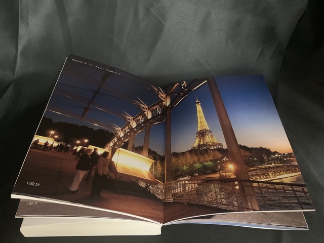 じゃない写真 現代アート化する写真表現 Pressman Books