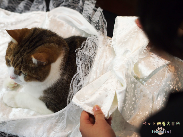 送料無料 天使のおくるみs ペット供養大百科