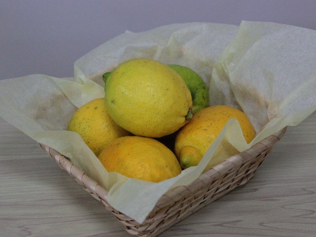 とよしまレモン 農薬不使用 1kg ふくろうの里 広島県神石高原町の無農薬 無添加ブランド