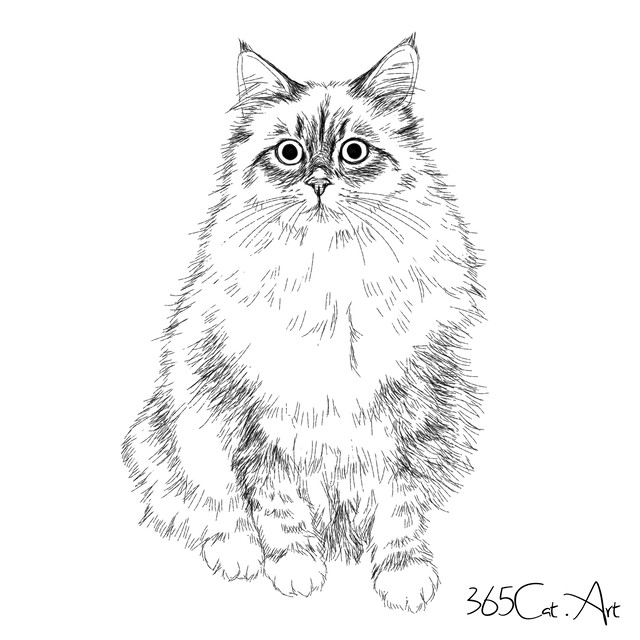 猫の手描きイラスト 似顔絵 白黒 作成 全身 動物 人間可 猫雑貨 グッズ通販 猫や動物イラスト 似顔絵作成 365cat Art