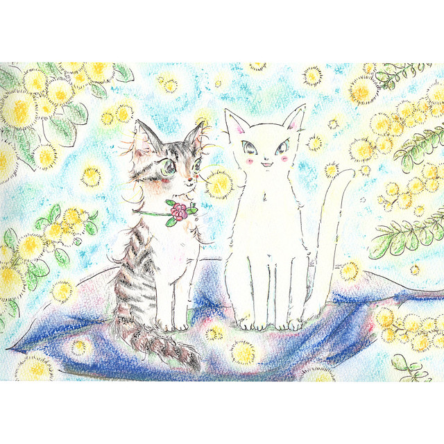 猫 ポストカード ミュウとシガー 保護猫支援 Tomokovinca Art Works