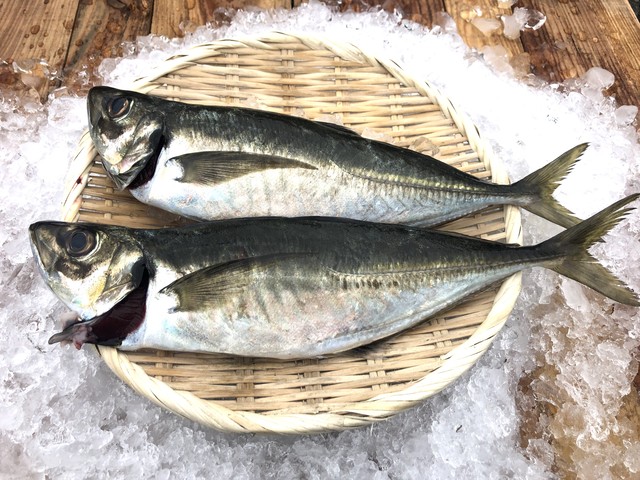 一度は食べてみたい刺身用極上のどぐろ 紅瞳 Sakanaya Takeichi