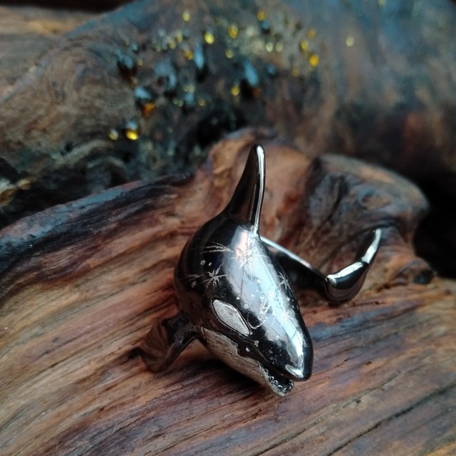 銀河シャチリング オス Flowstar