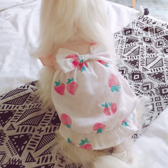 大人気 可愛い柄 ペット洋服 コットン ワンピース 犬服 猫服 小型犬用 Melissa