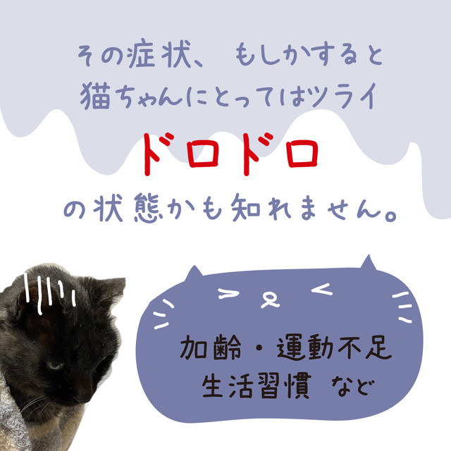 正規販売店 猫 ドロドロとんでいけ 顆粒タイプ 21g 竹炭 老猫 猫 ペット サプリ サプリメント 健康食品 ドロドロ シナプス 高齢猫 食欲不振 キャットフード Dr ママルシリーズ ペットサプリメントのお店 Intiniccot いんてぃにこっと