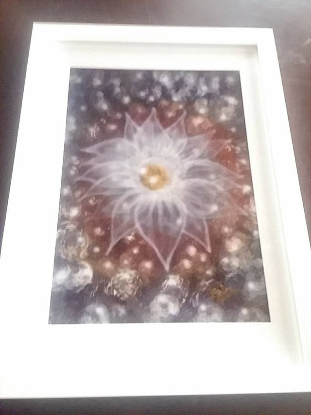 スプレーアート Atolantidaシリーズ 水の精霊 原寸写真パネル Sol Tierra