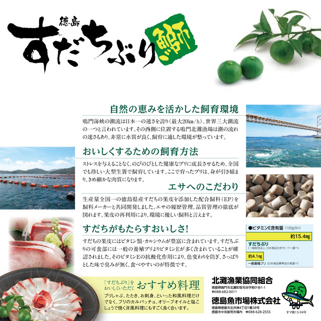 期間限定 送料無料 すだちぶり 旭物産 出品 徳島魚市場
