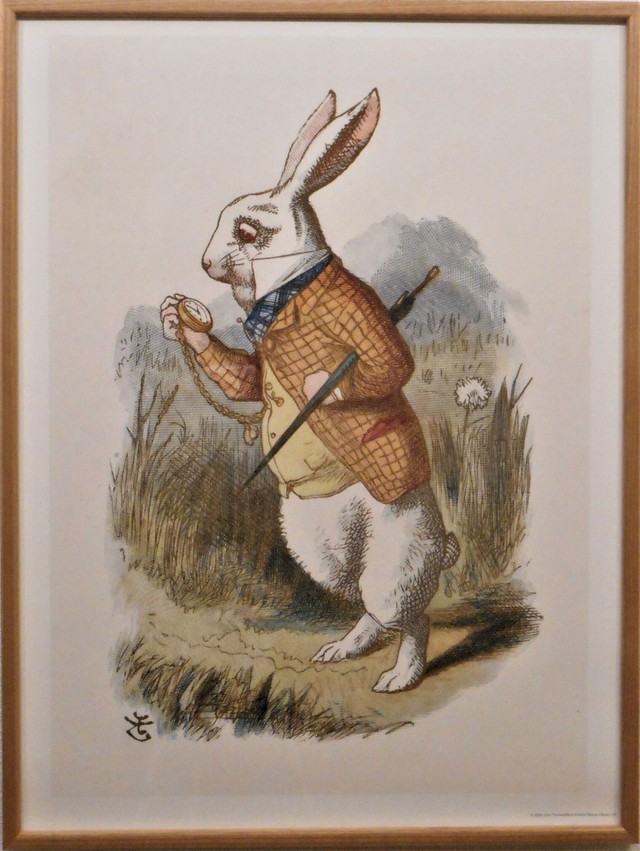 不思議の国のアリス ジョンテニエル画 Art Books Gallery 910 品切れ絵本 絶版絵本 古書絵本専門店