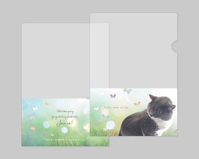 送料無料 政美 Sweet クリアファイル 3枚セット ちゅー猫のお店