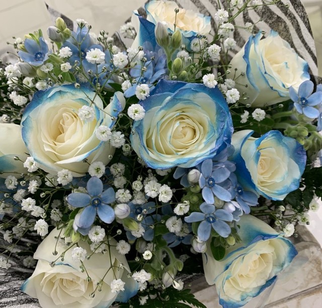 あじさい レオンmix 大栄花園オリジナル 鉢植え 5寸鉢 ギフトラッピング付き フラワーショップ トイトイトイ