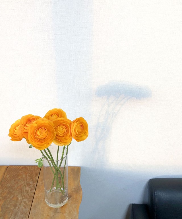 ラナンキュラス Jp Farmers Com