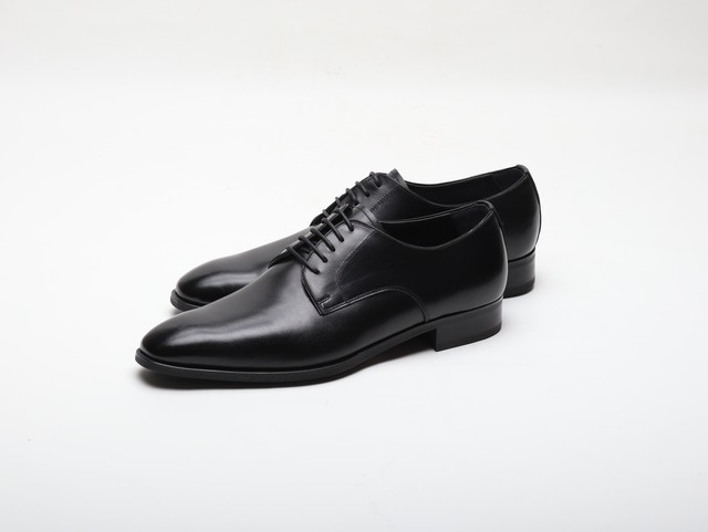 ORG-001-E <plain derby>