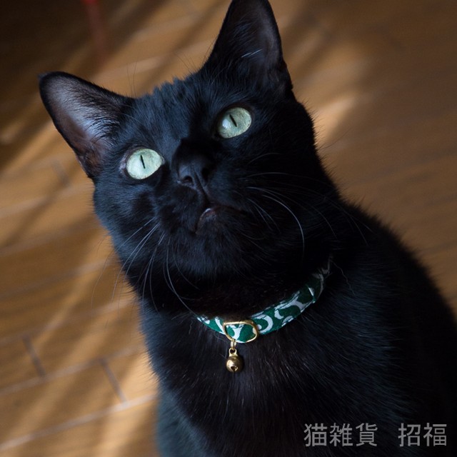 猫雑貨 招福 猫 子猫 首輪 唐草 からくさ 緑 赤 セーフティバックル付 安全ベルト 鈴付 日本製 ハンドメイド 猫雑貨 招福