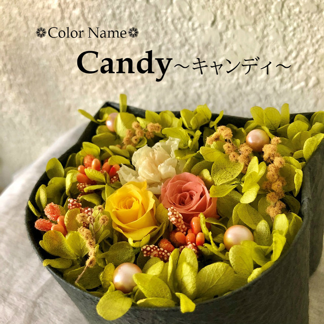 こねこばこ Candy キャンディ オリジナル猫型フラワーボックス プリザーブドフラワー 西麻布のお花屋さん Mingle