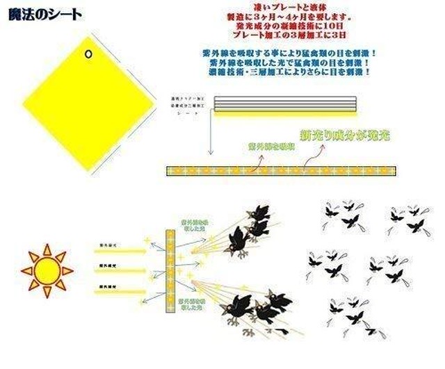 14cm カラス撃退プレートx5枚 140型 カラス対策 カラス撃退 送料無料 カラスバスター Net ショップ