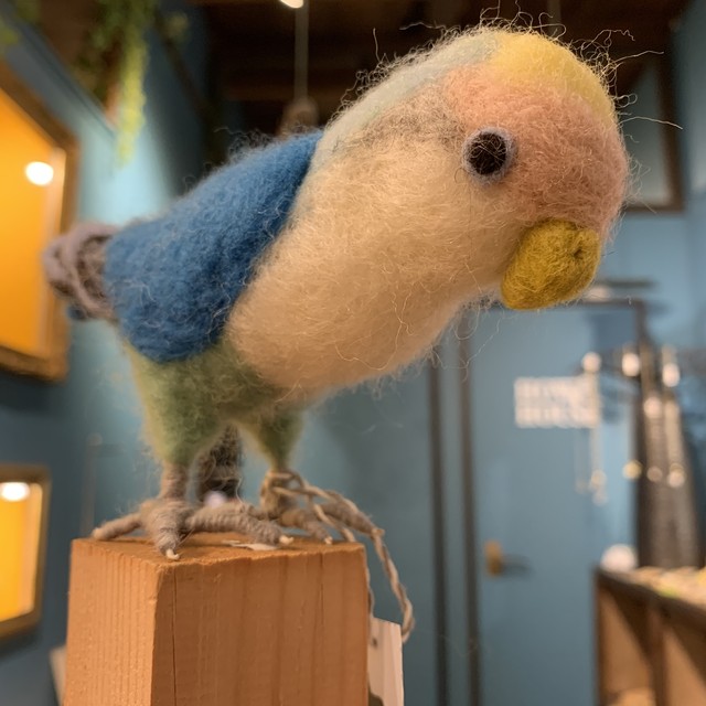 kemonoya / コザクラインコ