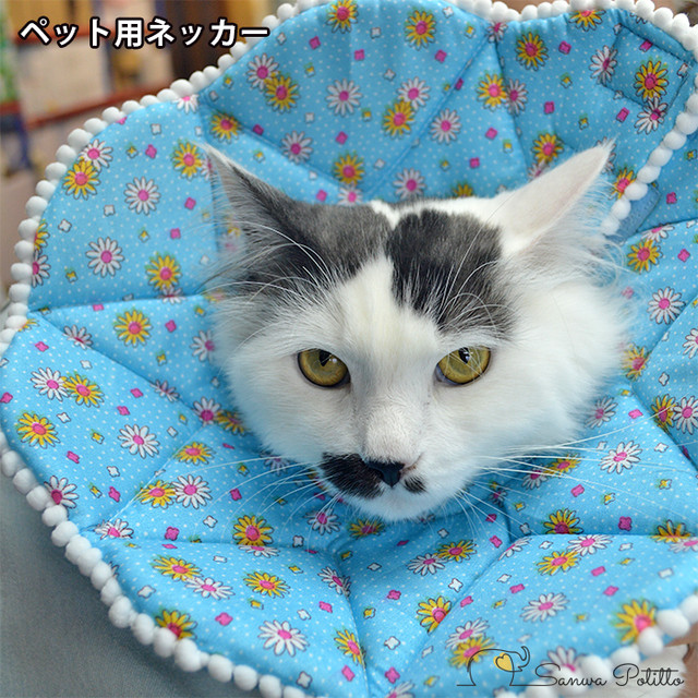 エリザベスカラー 三和ポチット