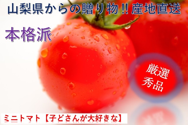 新鮮野菜 ミニトマト ラブリーさくら 秀品 ２kg 箱 山梨県産 送料無料 産地直送 こだわり市場