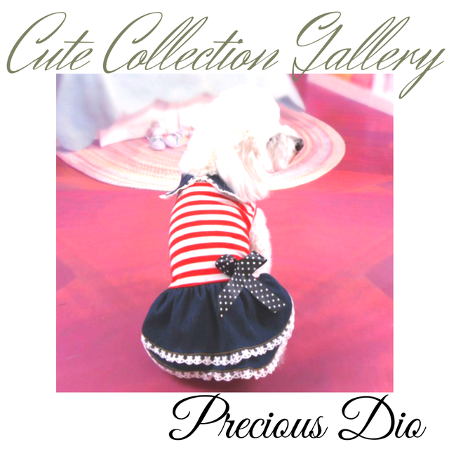 即納 可愛いボーダーマリンワンピース 犬用 春服夏服秋服冬服 S Xs ペット リボン 花 犬グッズ 犬服 ドッグウェア 撮影用 撮影会 誕生日 ギフト 可愛い Dogwear Precious Dio 犬服 ペット ドッグウェア