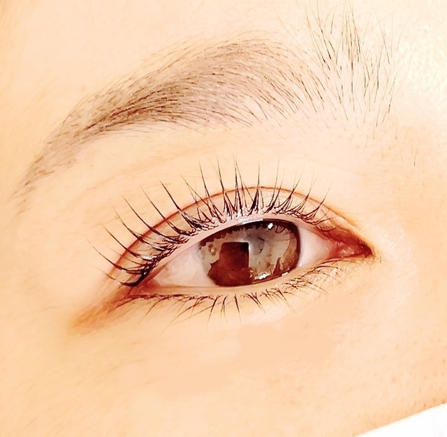 ハニーラッシュ これ１つでok 次世代コスメパーマキット まつげエクステ商材 Flap Eyelashes フラップアイラッシュ