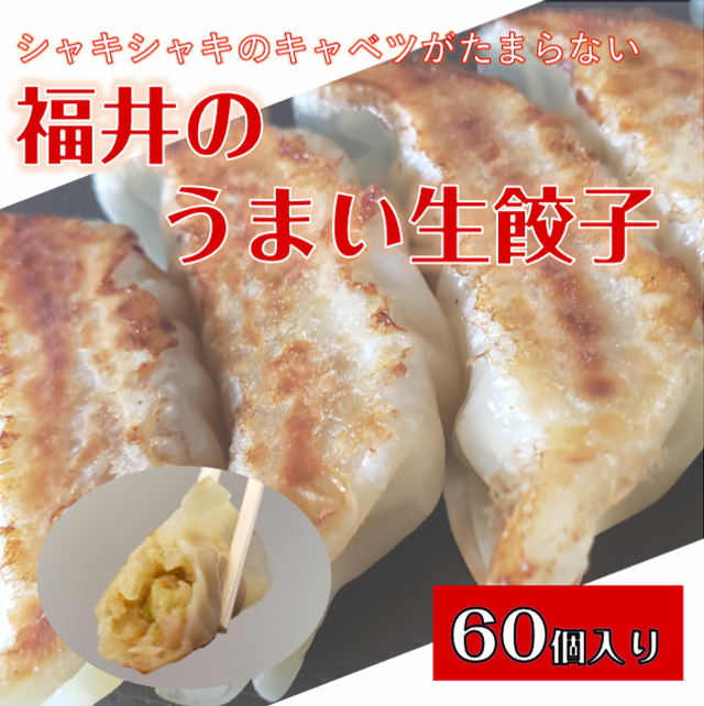 福井のうまい生餃子 60粒 宇都宮正二商店
