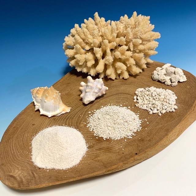 純国産サンゴ砂 Yonaguni Aragonite Sand Size Sugar 5kg Biota Style オンラインショップ