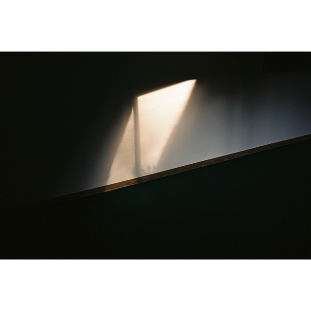 Notes On Belonging Tiny Leaves Salvaged Tapes