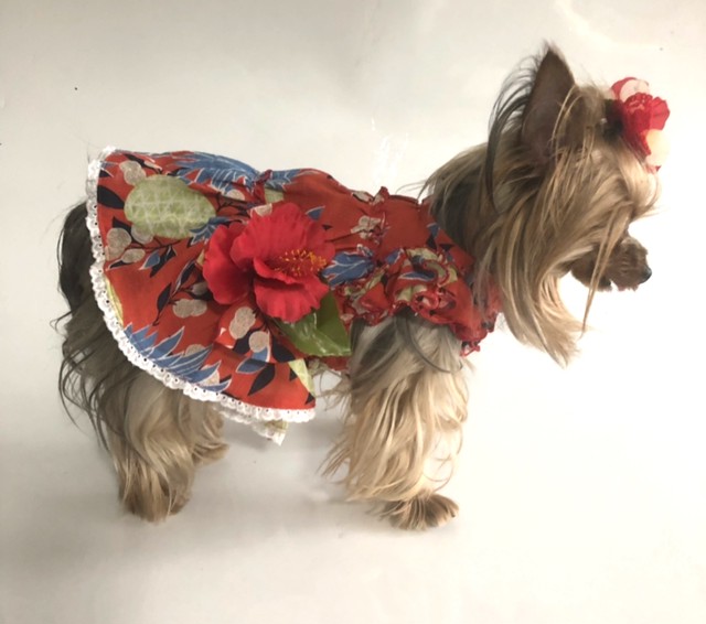 犬服オーダー ムームーワンピース Dogdress Ari Ra